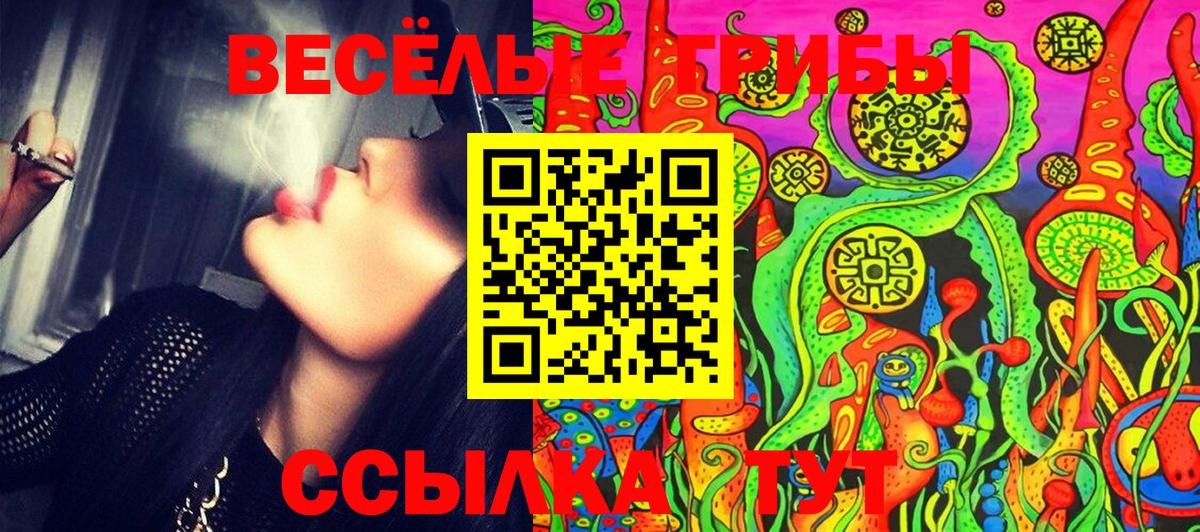 Славгород  Галлюциногенные грибы прущие грибы  Вход с VPN 