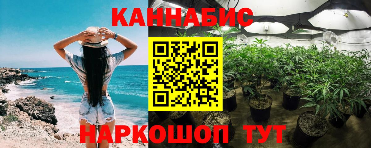 Каннабис White Widow  Конопля тримм  Марихуана индика  Вход с VPN  Конопля сатива  Славгород 